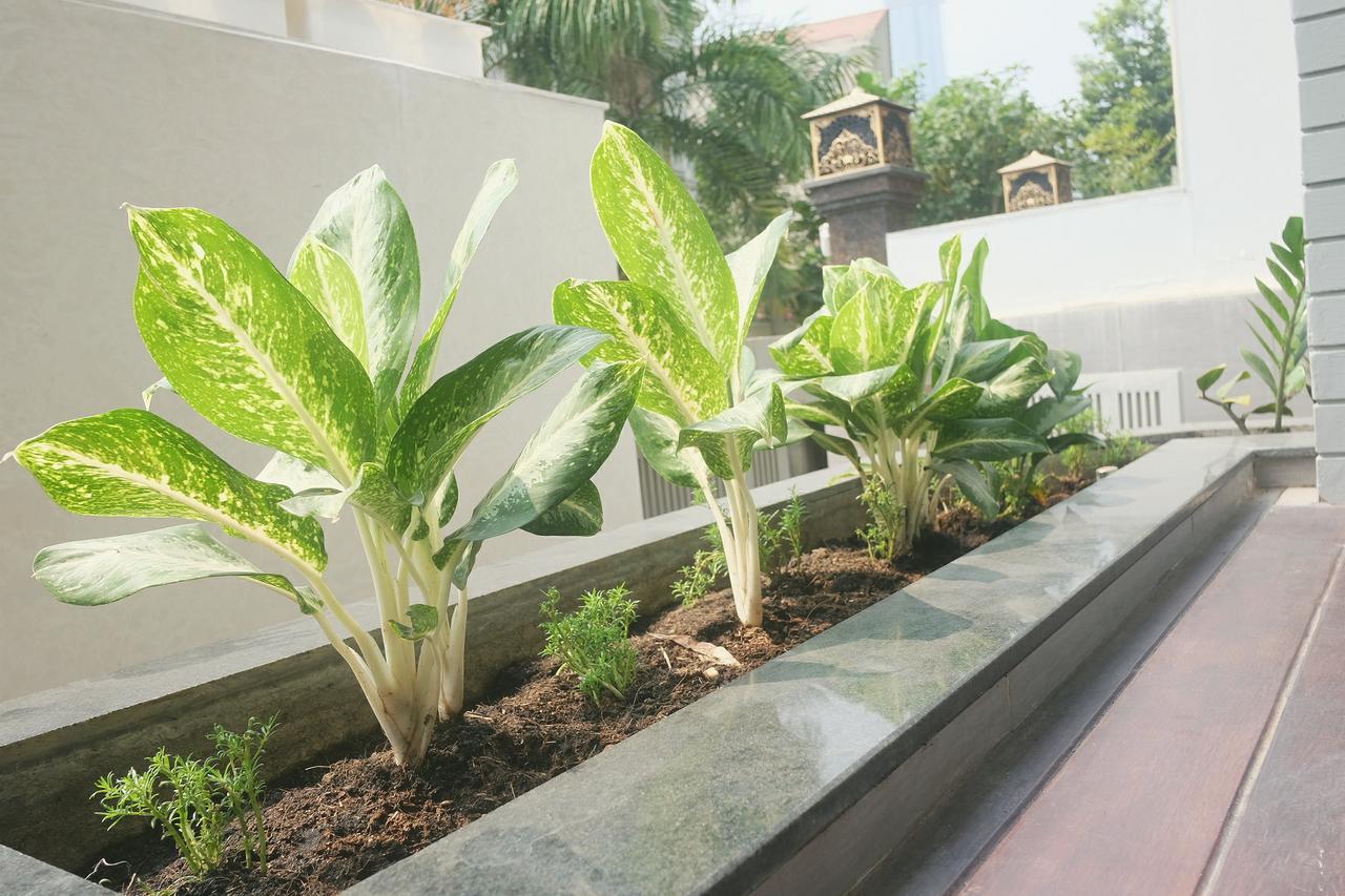 Greenwood Villa Saigon Ciudad Ho Chi Minh  Exterior foto